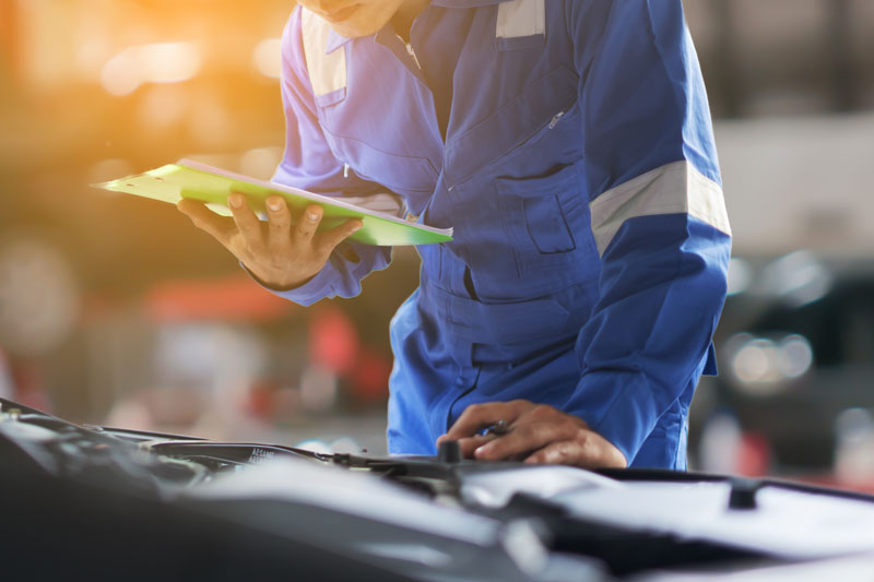 Transfixed Automatics